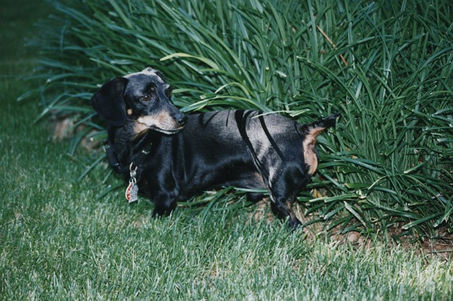 Julie_144.jpg