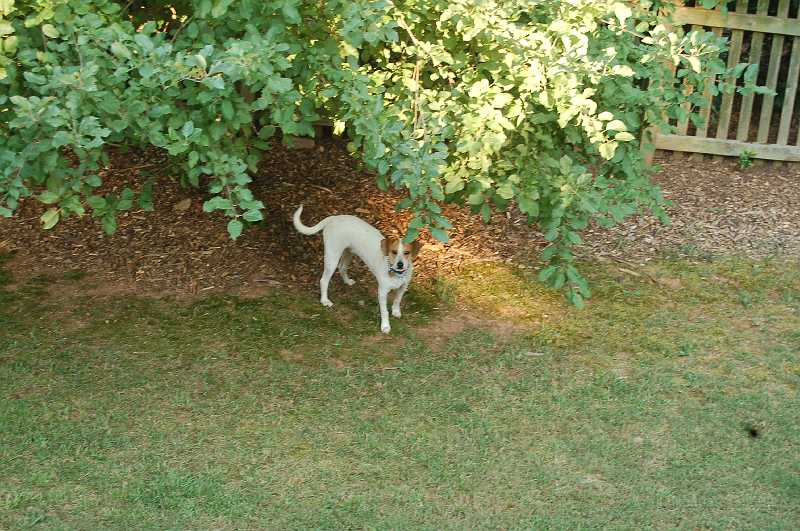 AbbysBirthday_2006_008.JPG
