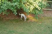 AbbysBirthday_2006_008