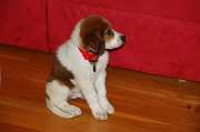 indies_arrival_11_16_06_008