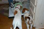 Thanksgiving_2006_019
