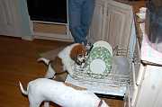 Thanksgiving_2006_021