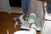 Thanksgiving_2006_022