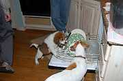 Thanksgiving_2006_023