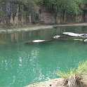 orlando_trip_02-08_003