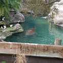 orlando_trip_02-08_004