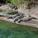 orlando_trip_02-08_005
