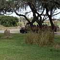 orlando_trip_02-08_007