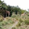 orlando_trip_02-08_009