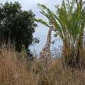 orlando_trip_02-08_012