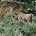 orlando_trip_02-08_013