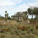 orlando_trip_02-08_014