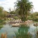 orlando_trip_02-08_015