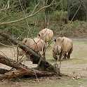orlando_trip_02-08_016