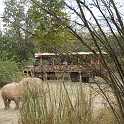 orlando_trip_02-08_018
