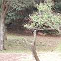 orlando_trip_02-08_021