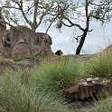 orlando_trip_02-08_022