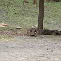 orlando_trip_02-08_023