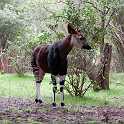orlando_trip_02-08_025
