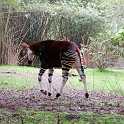 orlando_trip_02-08_026