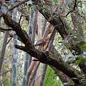 orlando_trip_02-08_028