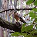 orlando_trip_02-08_029