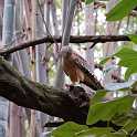 orlando_trip_02-08_030