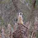 orlando_trip_02-08_035