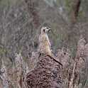orlando_trip_02-08_036