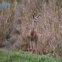 orlando_trip_02-08_037