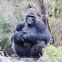 orlando_trip_02-08_039