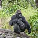 orlando_trip_02-08_042
