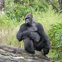 orlando_trip_02-08_043