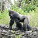 orlando_trip_02-08_044