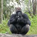 orlando_trip_02-08_046