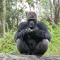 orlando_trip_02-08_047