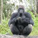 orlando_trip_02-08_048