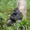 orlando_trip_02-08_051