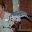 orlando_trip_02-08_062