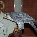 orlando_trip_02-08_063