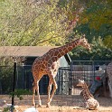 ZooVisit__0005
