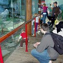 ZooVisit__0024