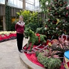 Callaway Gardens