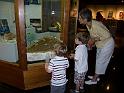 Fernbank