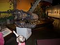 DSCN3066